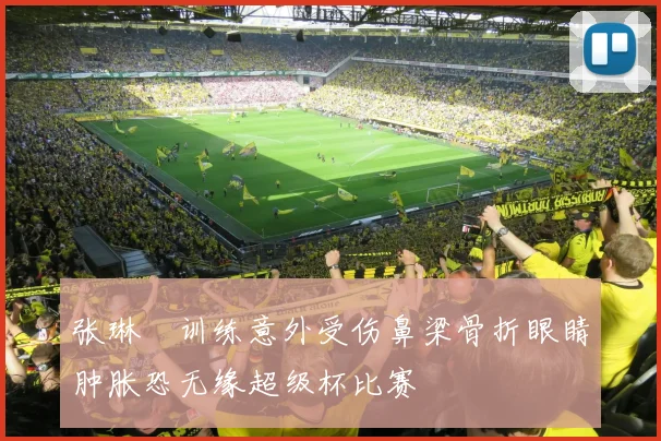 张琳芃训练意外受伤鼻梁骨折眼睛肿胀恐无缘超级杯比赛