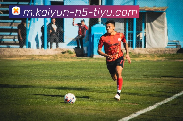 开云体育平台生态图