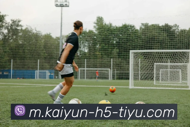 开云体育全站App