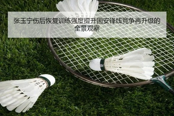张玉宁伤后恢复训练强度提升国安锋线竞争再升级的全景观察 | kaiyun